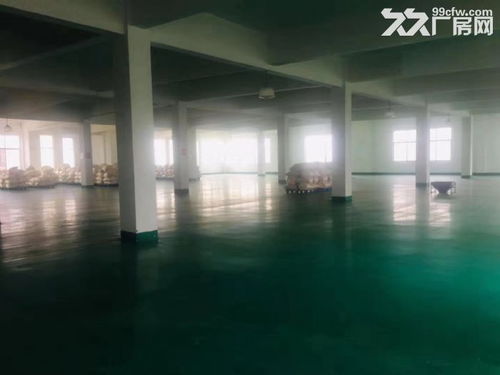 食品廠廠房整體出租 精裝修、房東直租，助力企業(yè)高效發(fā)展